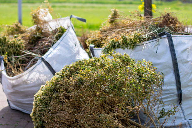  Princeton, NJ Junk Removal Pros